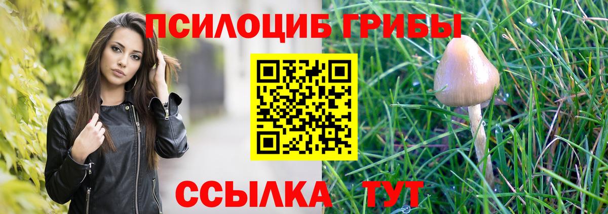 Галлюциногенные грибы мухоморы Ртищево