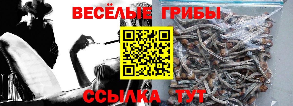 Псилоцибиновые грибы Psilocybe  Галлюциногенные грибы Magic Shrooms  Ртищево  магазин  наркотиков  Вход с VPN 